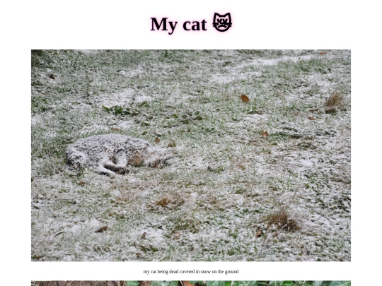 catfinalfinal screenshot