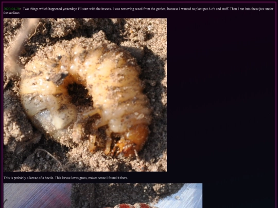 journal/2020-04-20 screenshot