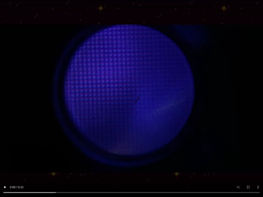 microscopewebsitephone screenshot