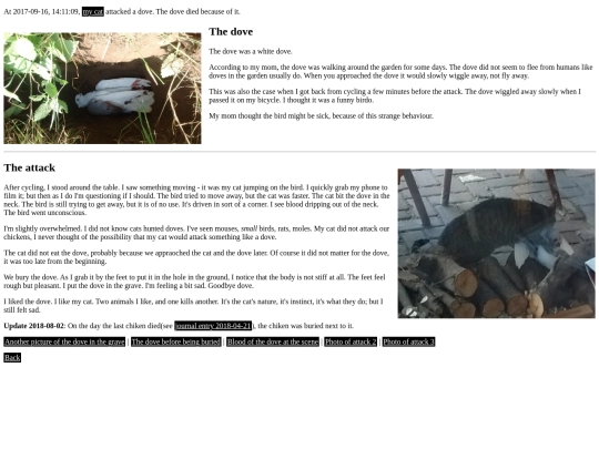 thecatandthedove screenshot