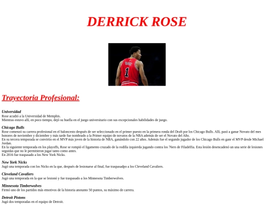 proyecto final/derrickrose screenshot