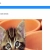 a random website avatar