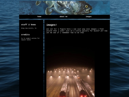 images screenshot