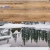 vhz-snow.neocities.org avatar