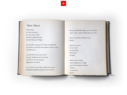 diary screenshot