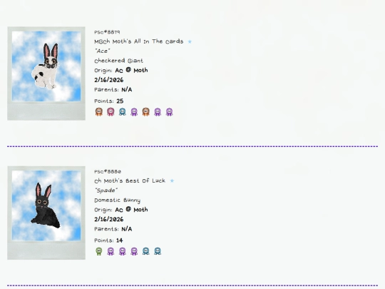 bunny screenshot