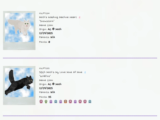 mainecoons screenshot