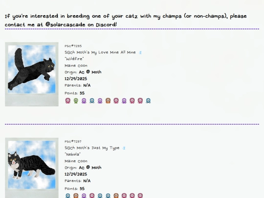 mainecoonschamps screenshot