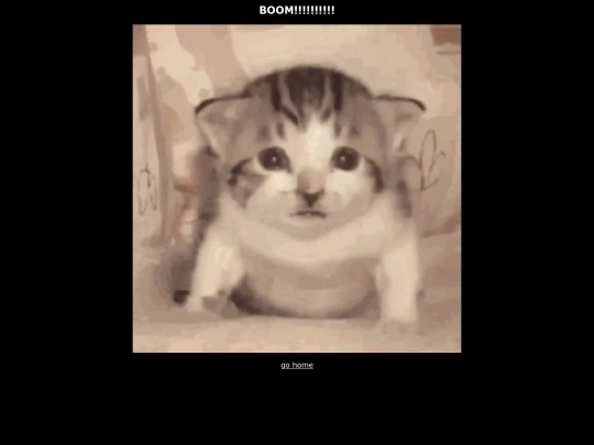 BOOM screenshot