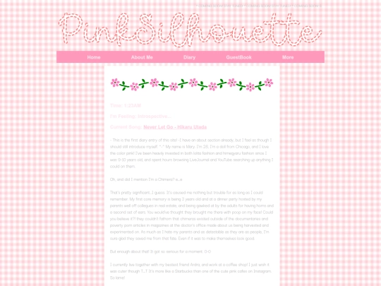 diary screenshot