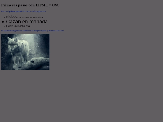 primera_pagina_con_imagen screenshot