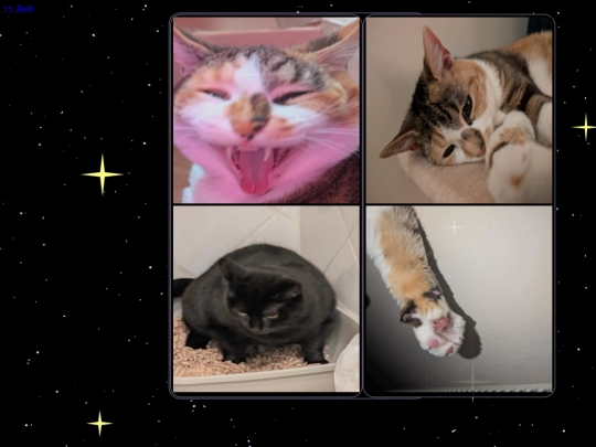 cats screenshot