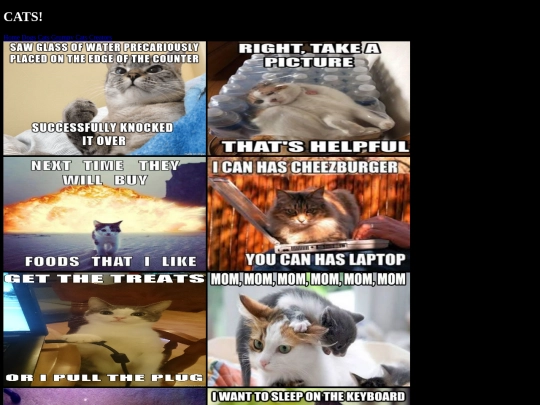 cats screenshot
