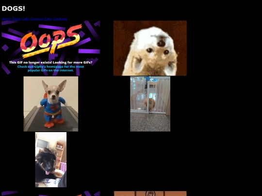 dogs screenshot