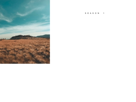 LEOS screenshot