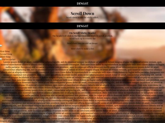 dingo screenshot