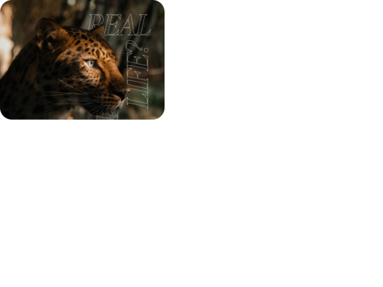meltpossible screenshot