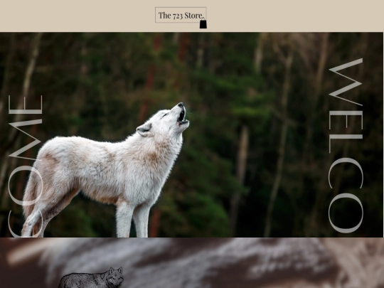 the723store screenshot