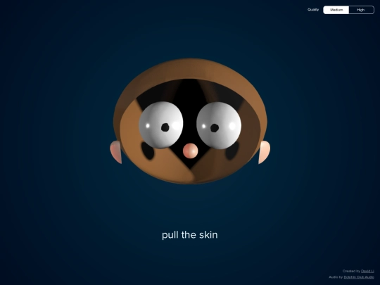 elasticface screenshot