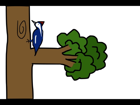 woodpecker screenshot