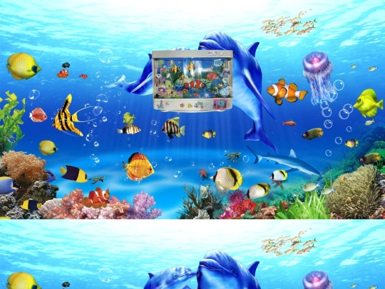 enteraquarium screenshot