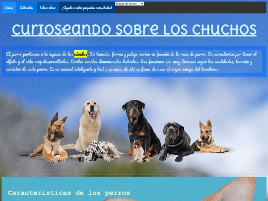 perros screenshot
