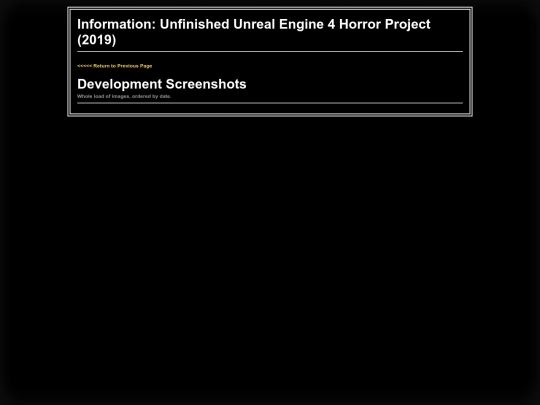 portfolio/ue screenshot