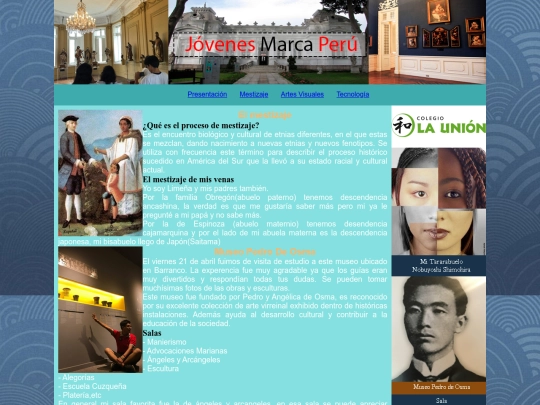 visita screenshot