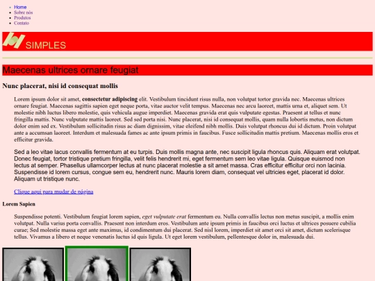 landpage screenshot