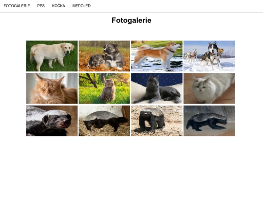 Fotogalerie screenshot
