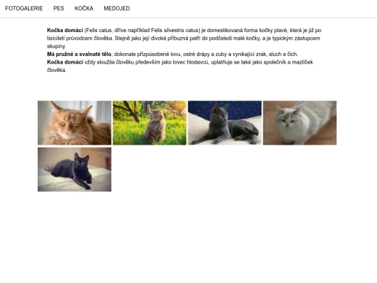 Kočka screenshot
