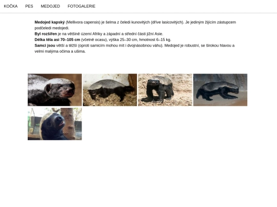 Medojed screenshot
