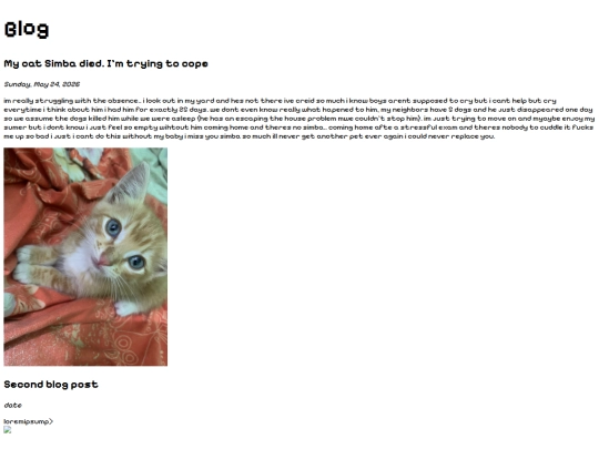 blogiframe screenshot