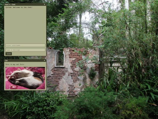 chat screenshot