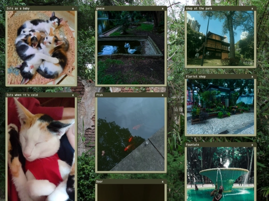 gallery screenshot
