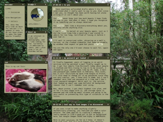 home screenshot