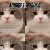 damn i havent touched this in a while avatar