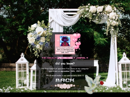 wedding screenshot