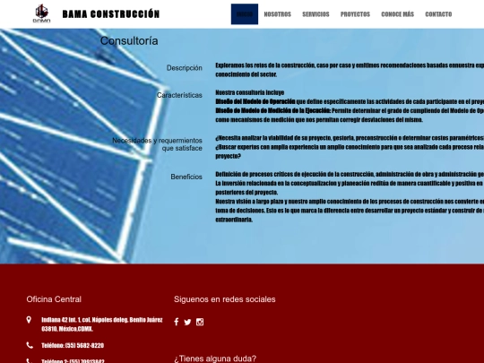 servicios/consultoria screenshot