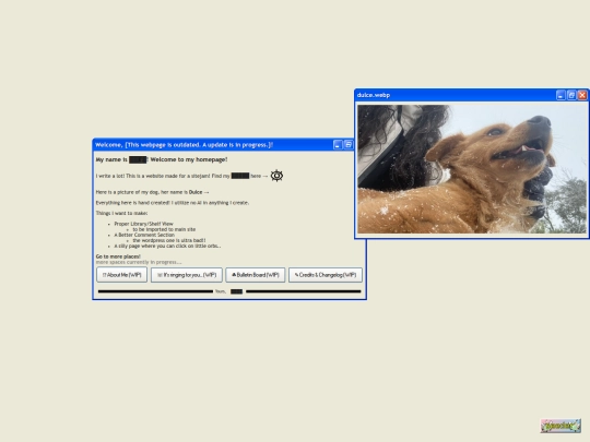 pages/boxes screenshot