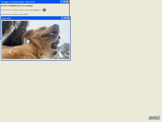 pages/home screenshot
