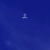 f•stream avatar
