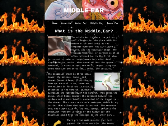 middleear/middleear screenshot