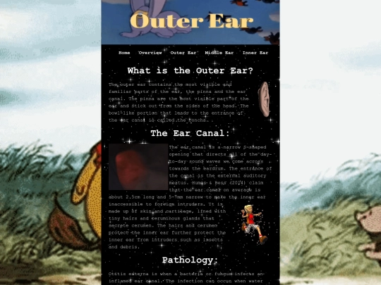 outerear/outerear screenshot