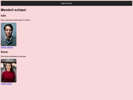 Despre mine/echipa screenshot
