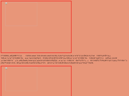 20221114/test01 screenshot