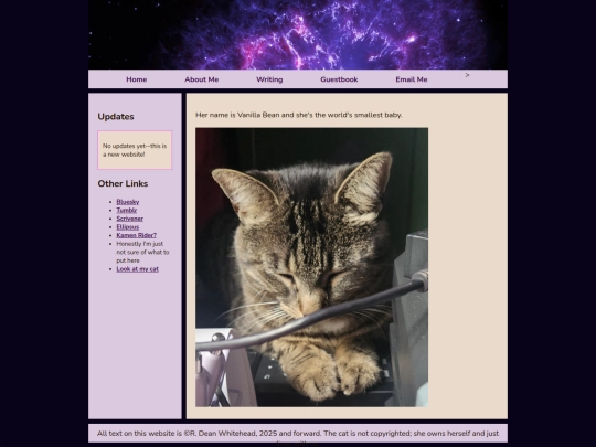 lookatmycat screenshot