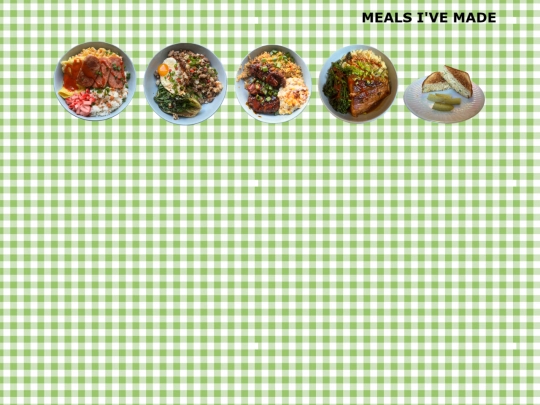 meals1 screenshot
