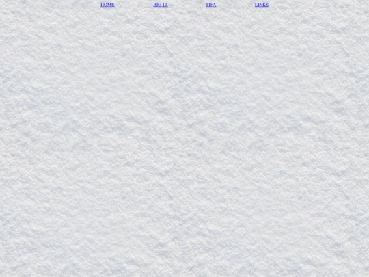 bottom screenshot