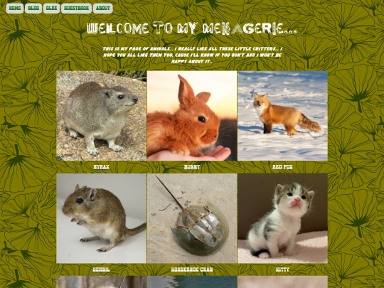 pages/aminals/aminalhome screenshot